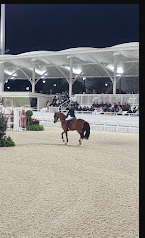 World Equestrian Center RV Park