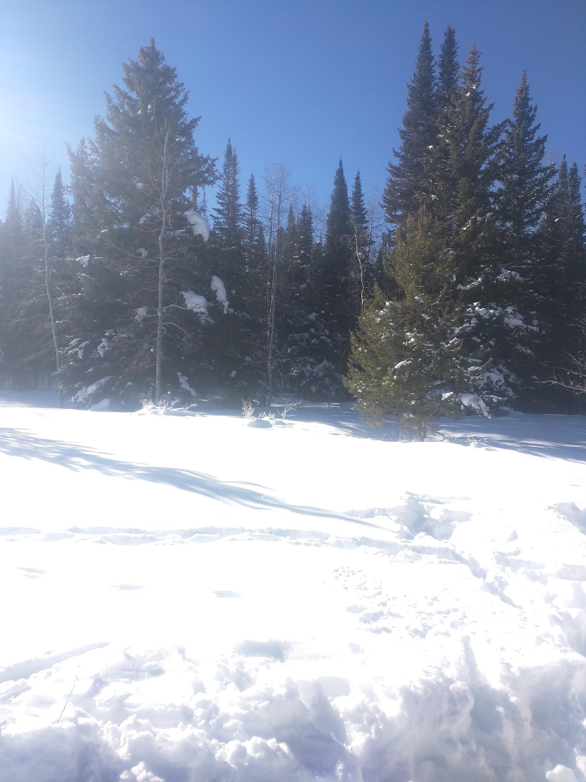 East Marvine Campground