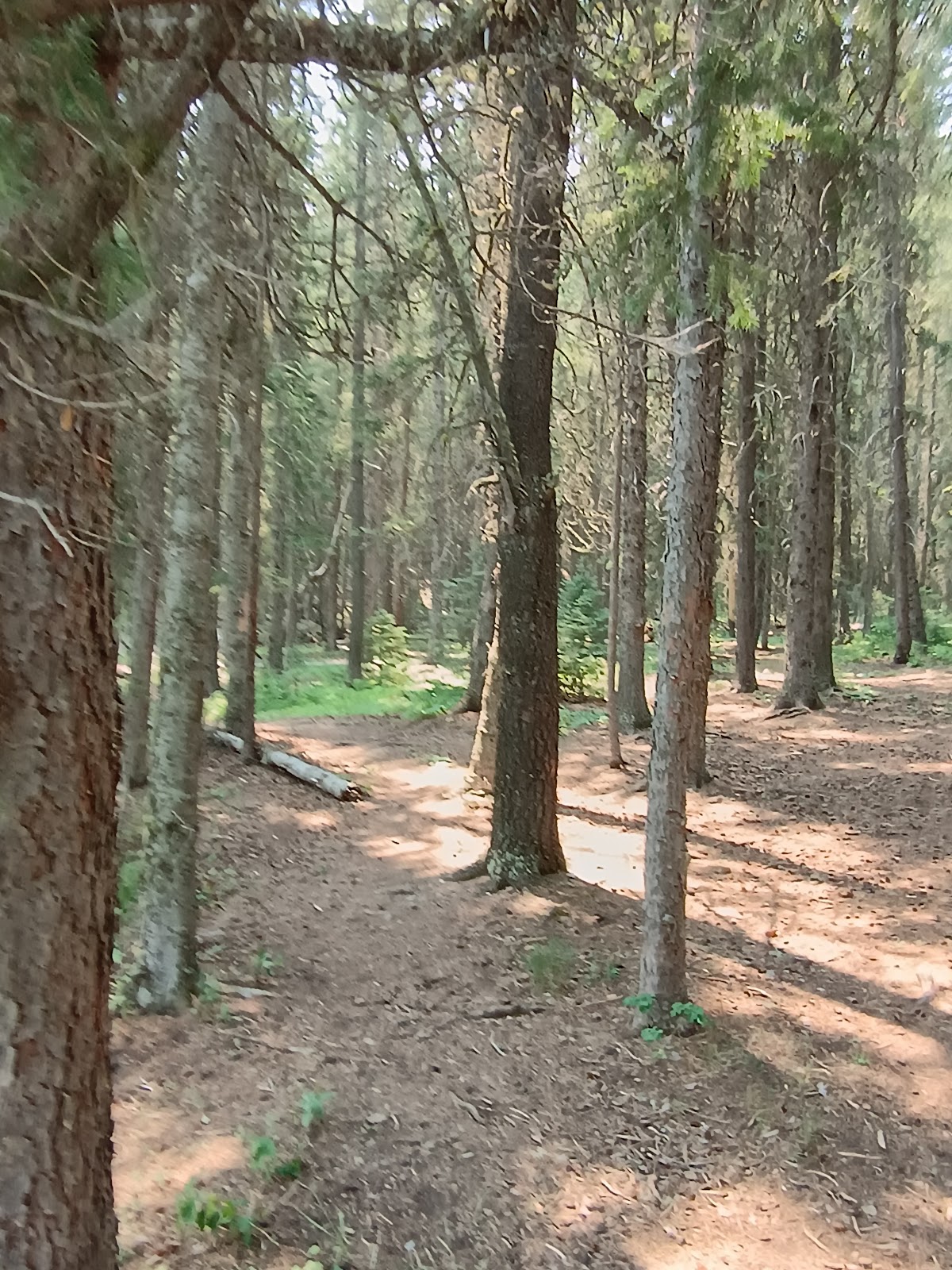 Wood Lake Campground