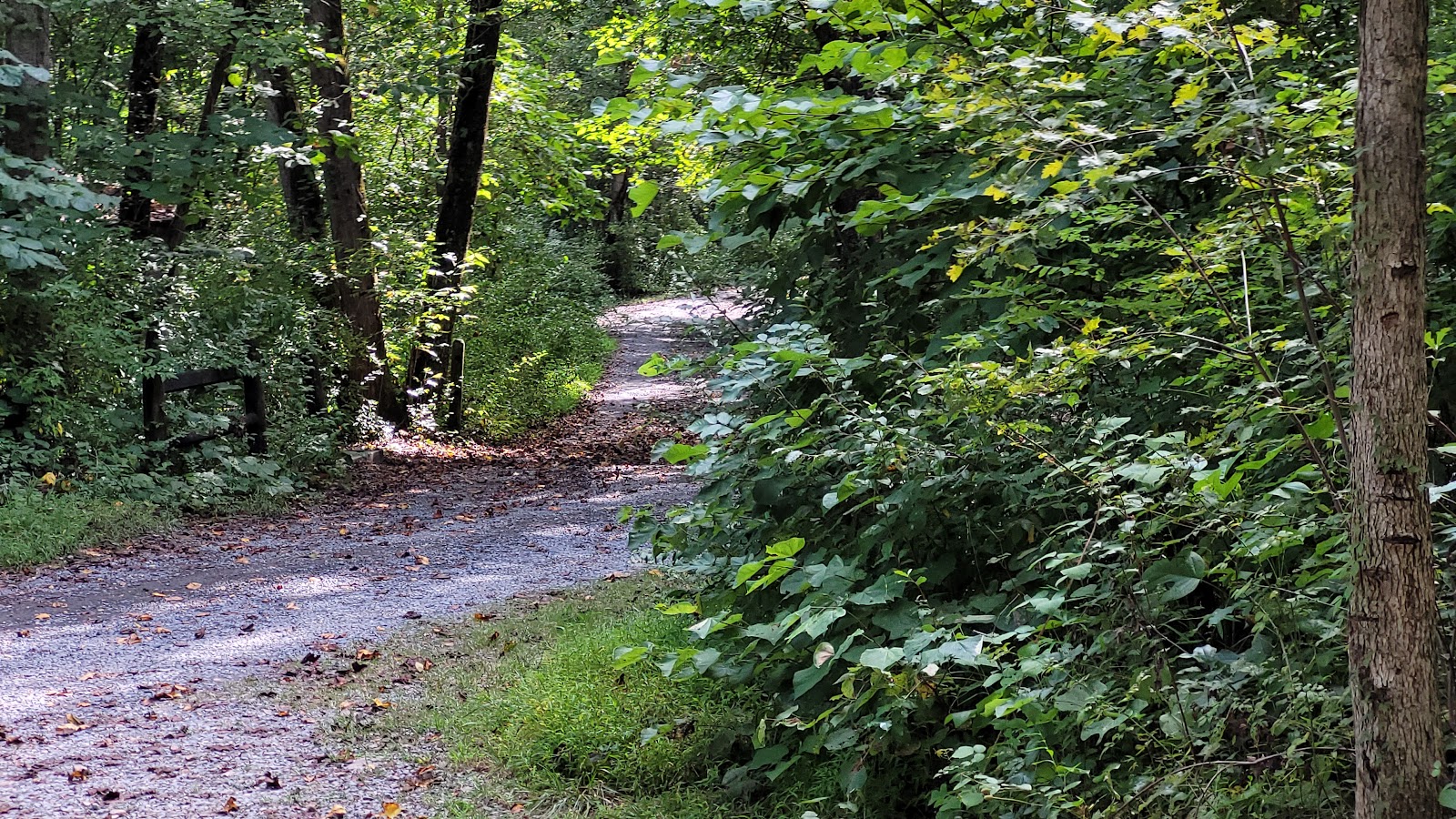 Little Fort Campground