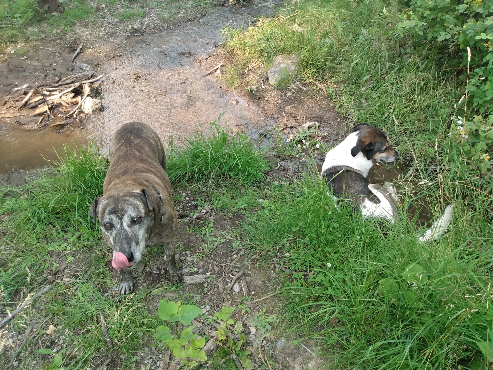 East Creek Campground