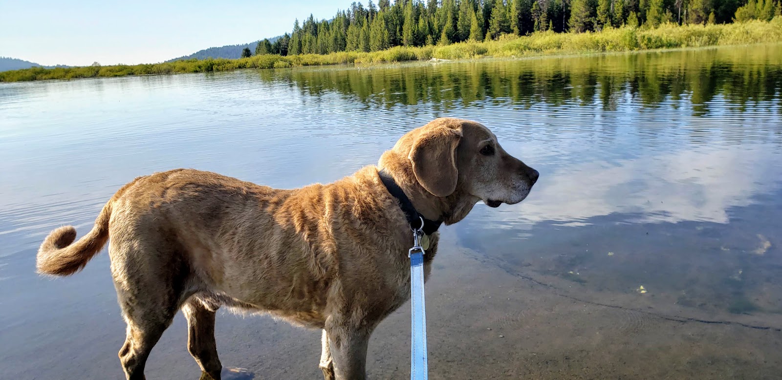 Quinn River Campground