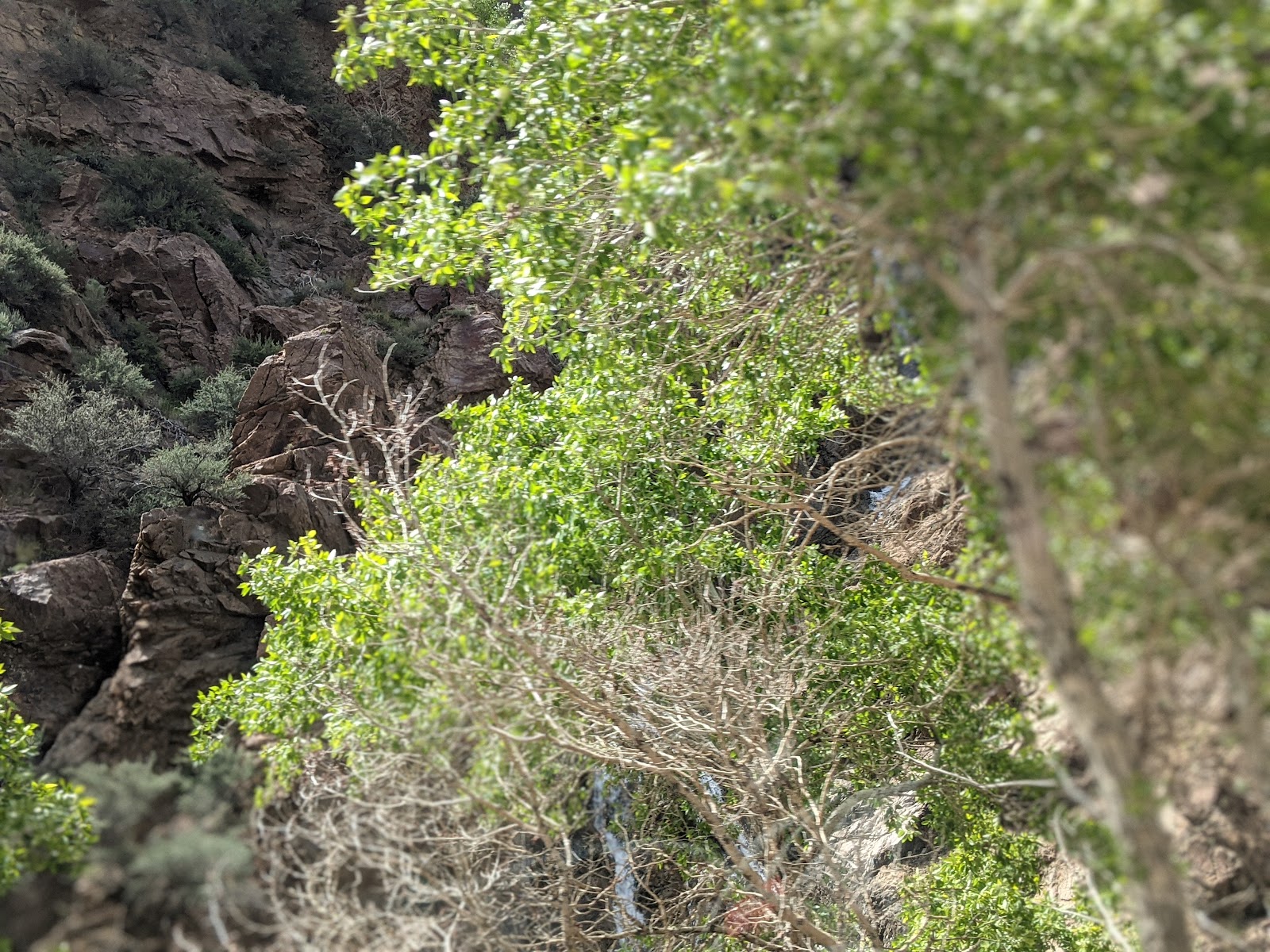 South Fork Campground