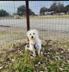 Berry Springs RV Park