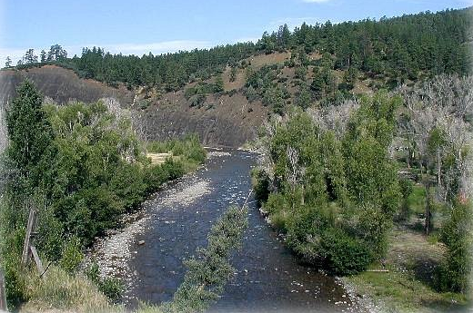 Elk Meadows River Resort