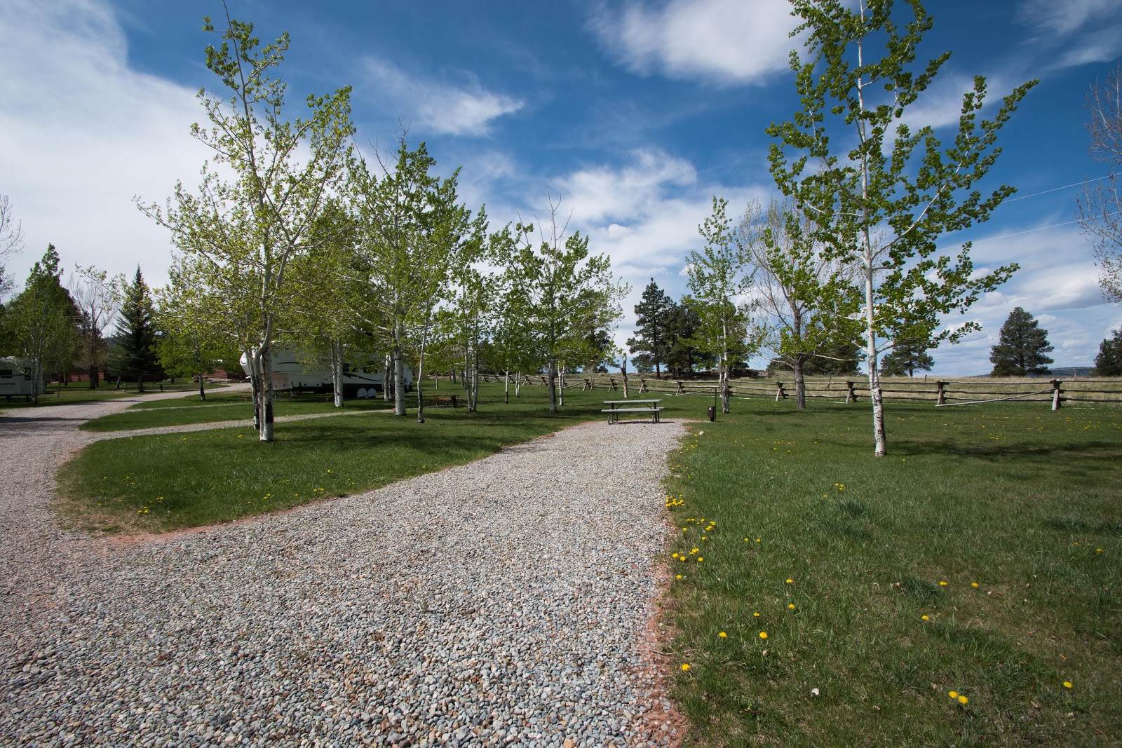 Camperworld-Pine Forest Park