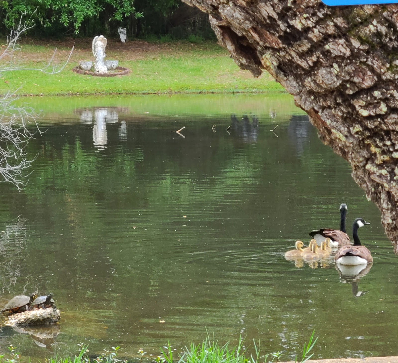 Indian Hills Nudist Park