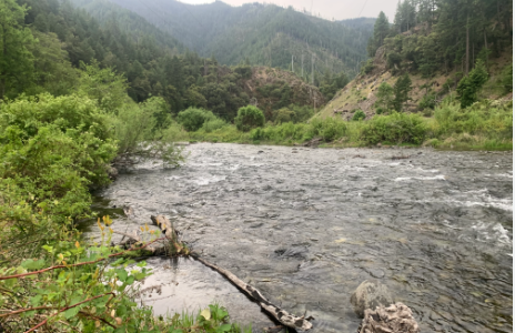 Gansner Bar Campground