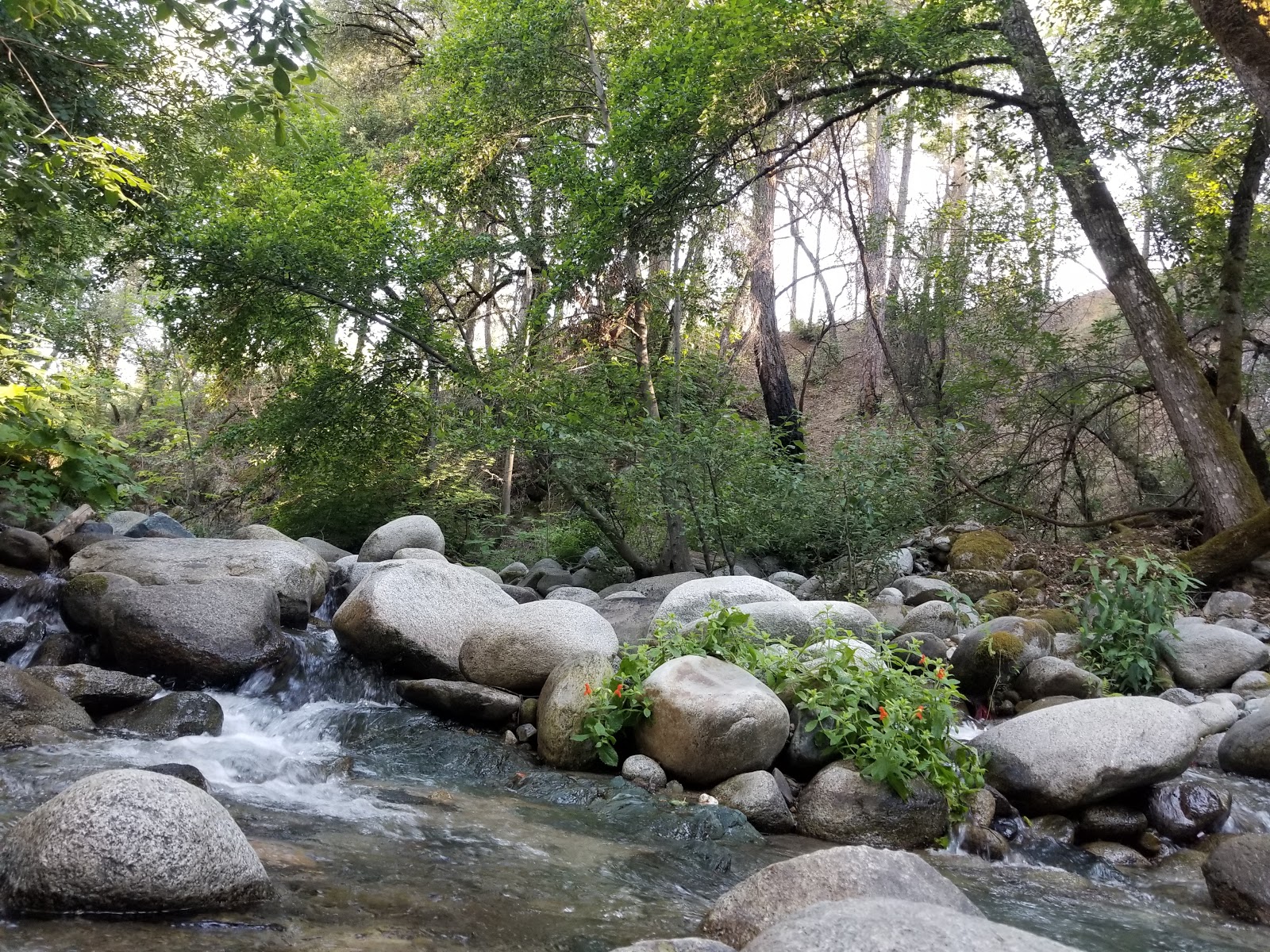 Brandy Creek Campground