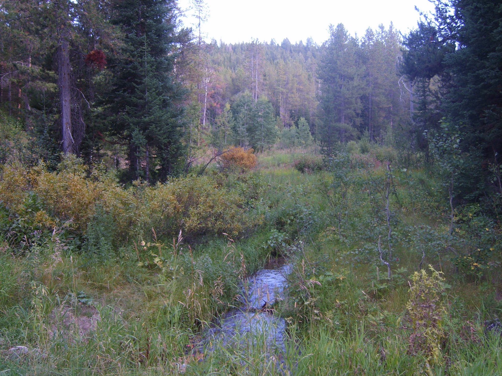 Gravel Creek Campground