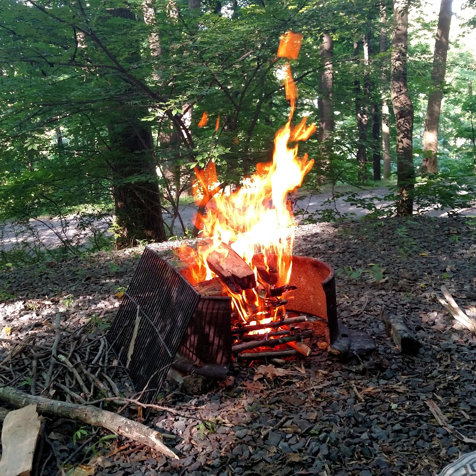 Dogwood Haven Campgrounds