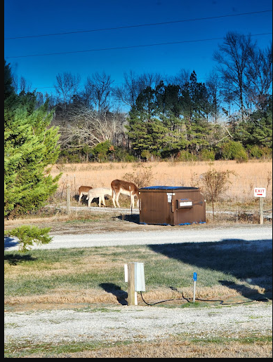 Northgate RV Travel Park