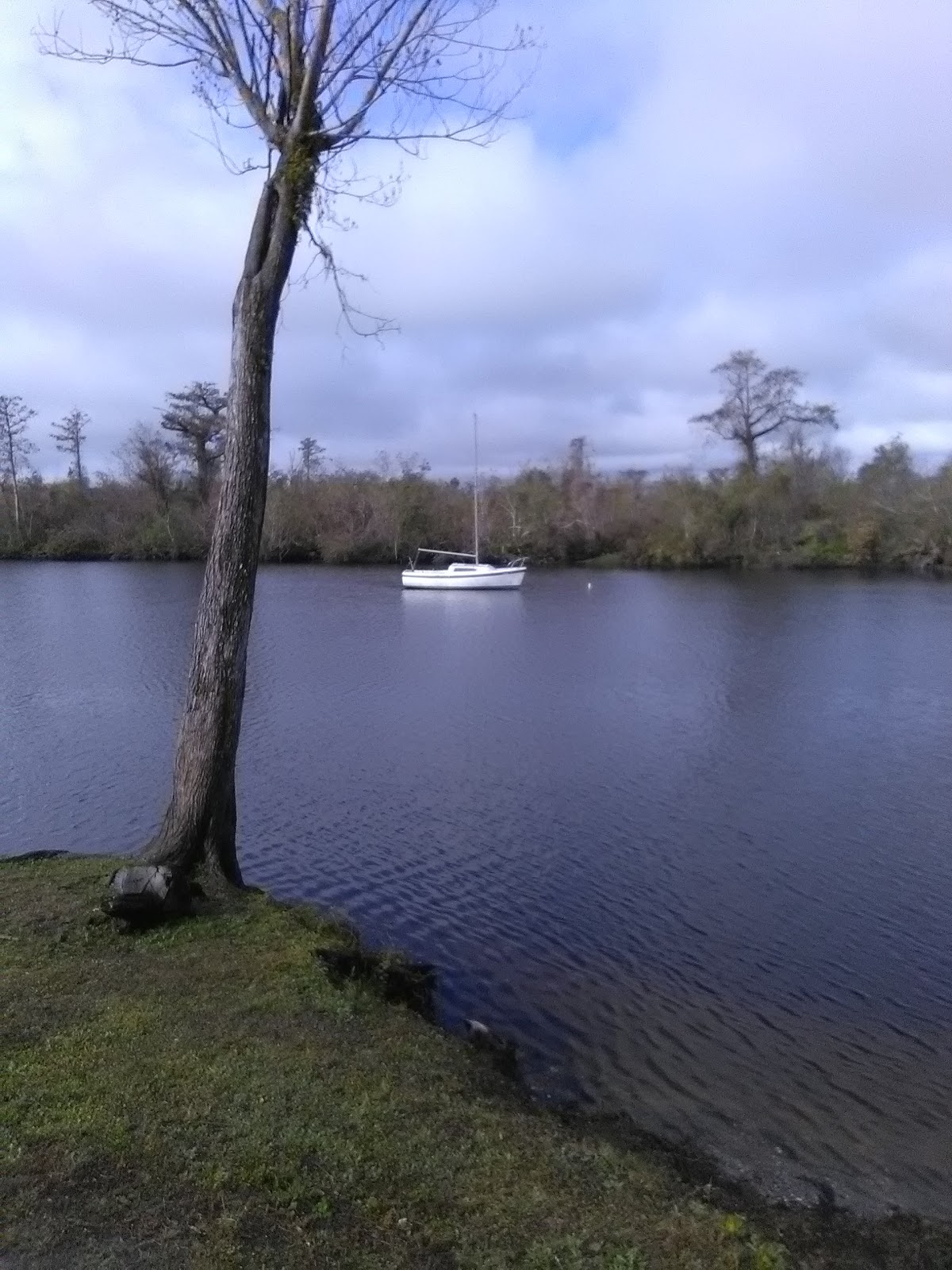 Lettuce Lake RV Resort