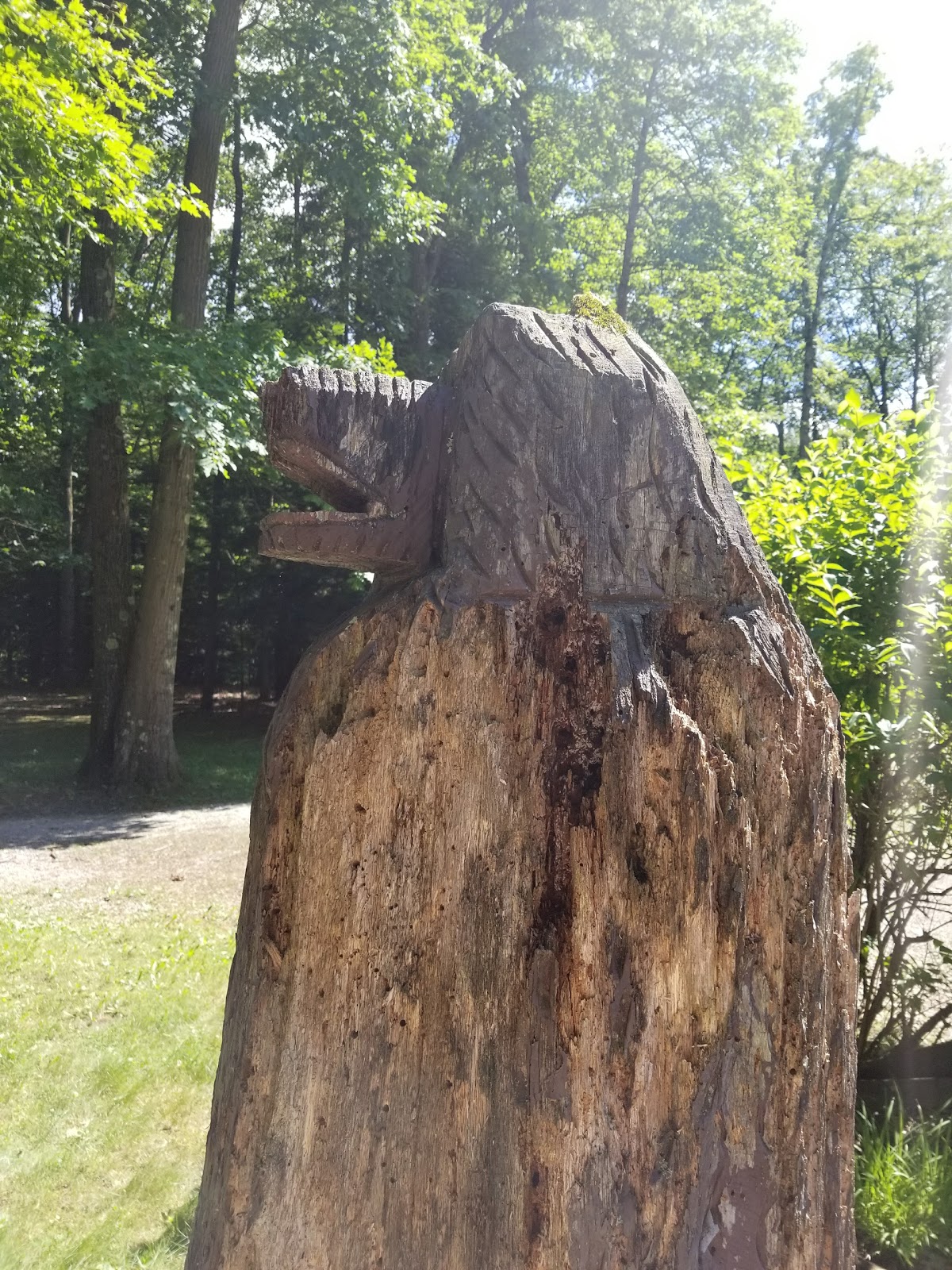 Lock 30 Woodlands RV Resort