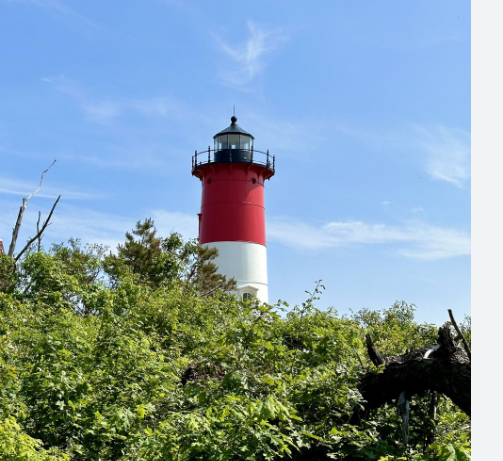 Wellfleet Hollow State Campground