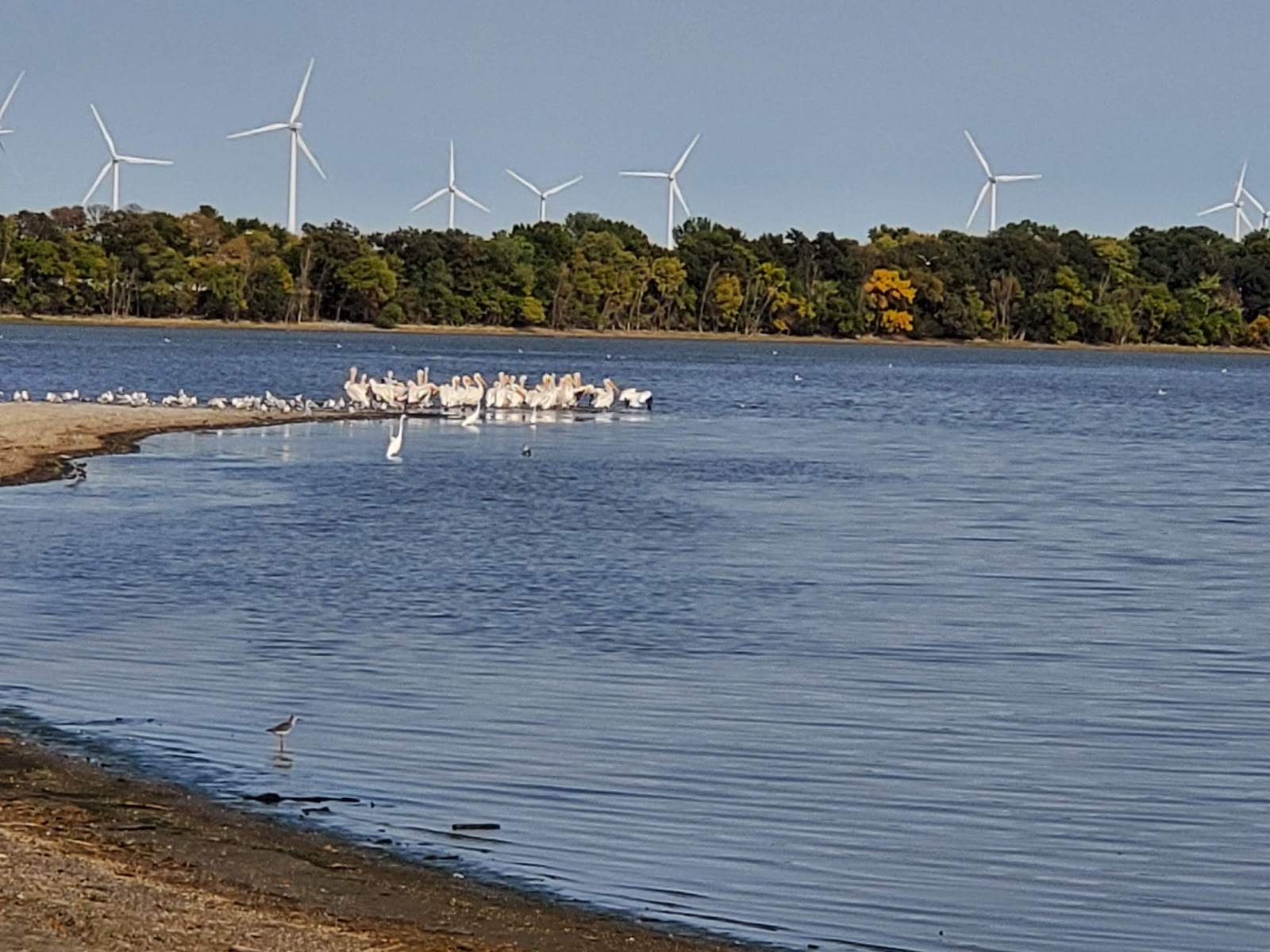 Sandy Point County Park Minnesota