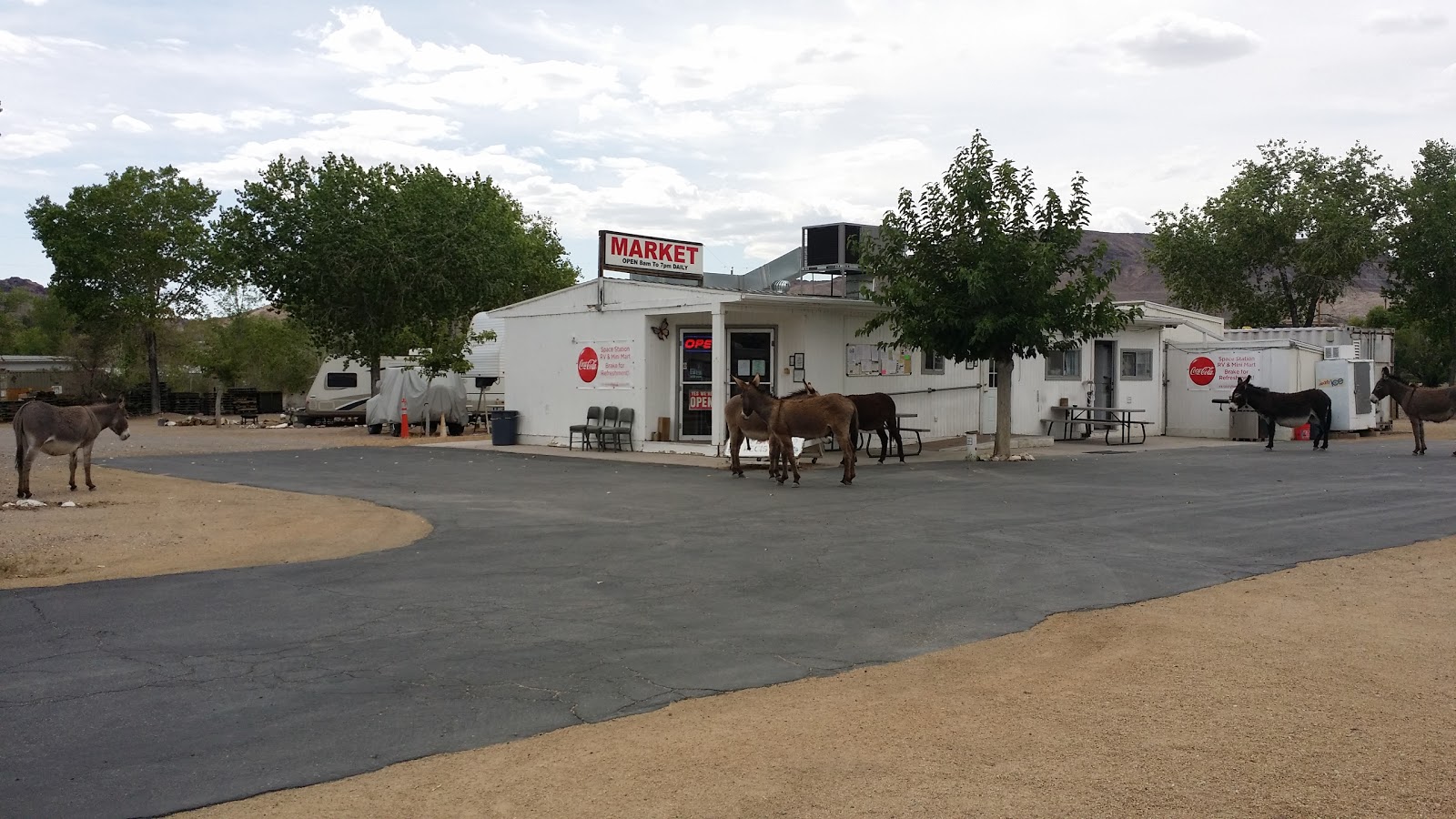 Space Station RV Park & Market