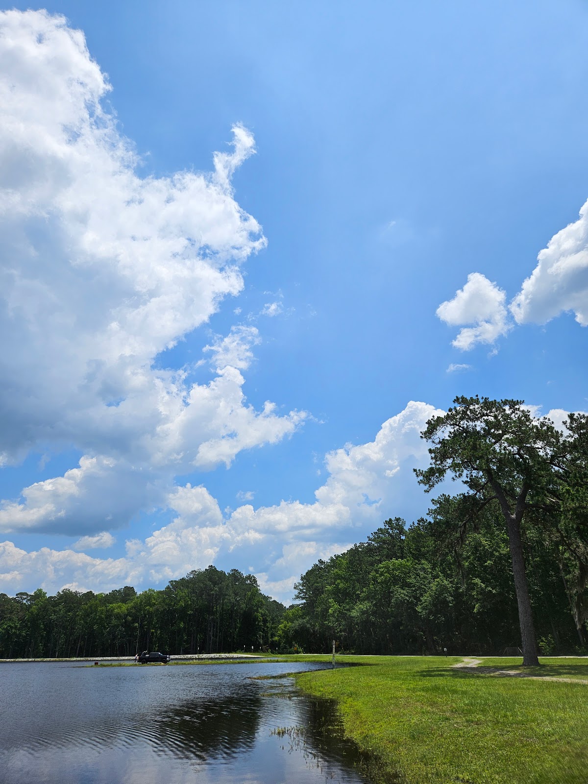 Holbrook Pond Recreation And Campground