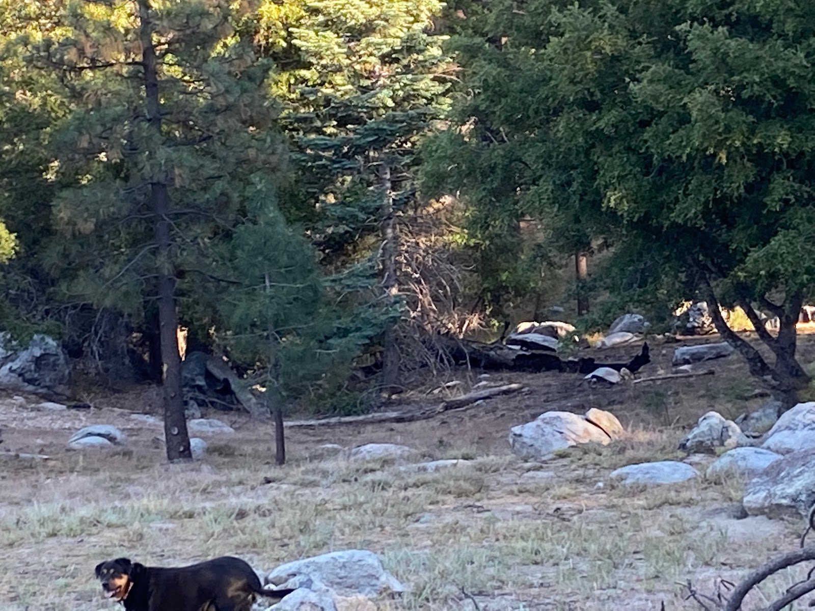 Tool Box Spring Campgorund