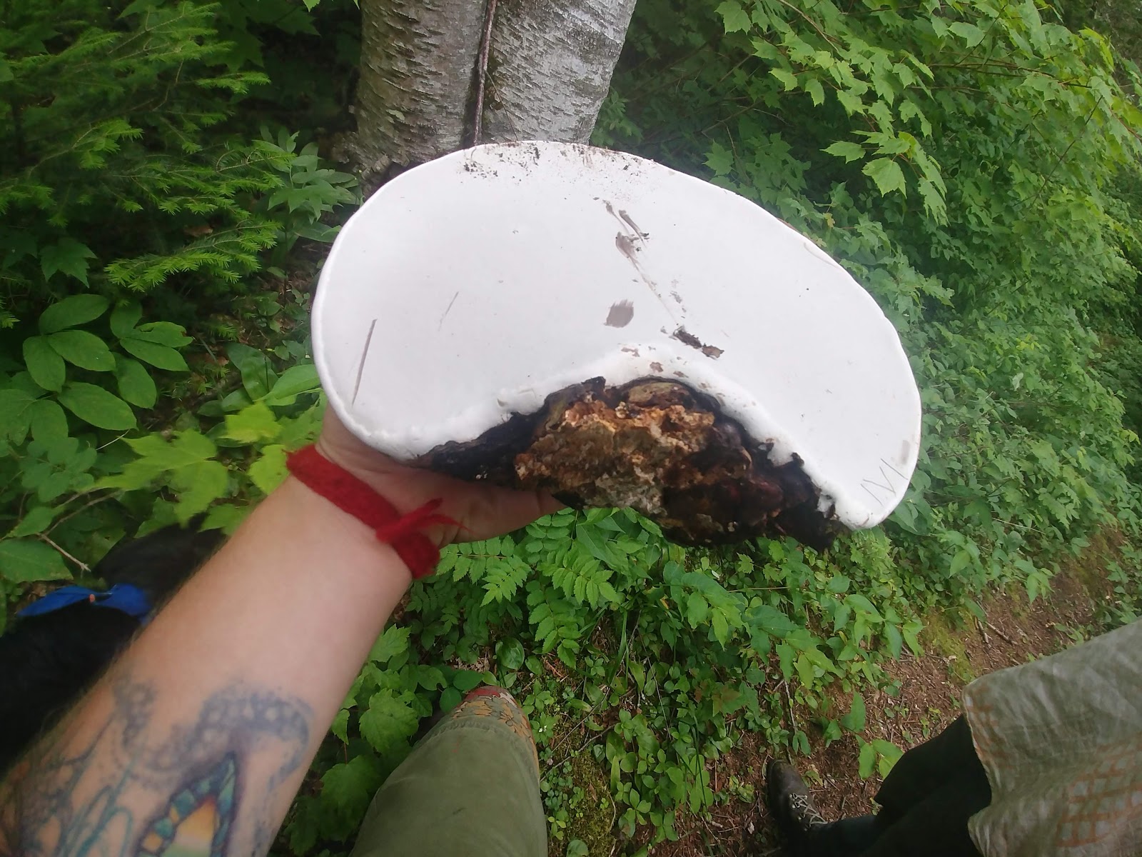 Cascade River Rustic Campground