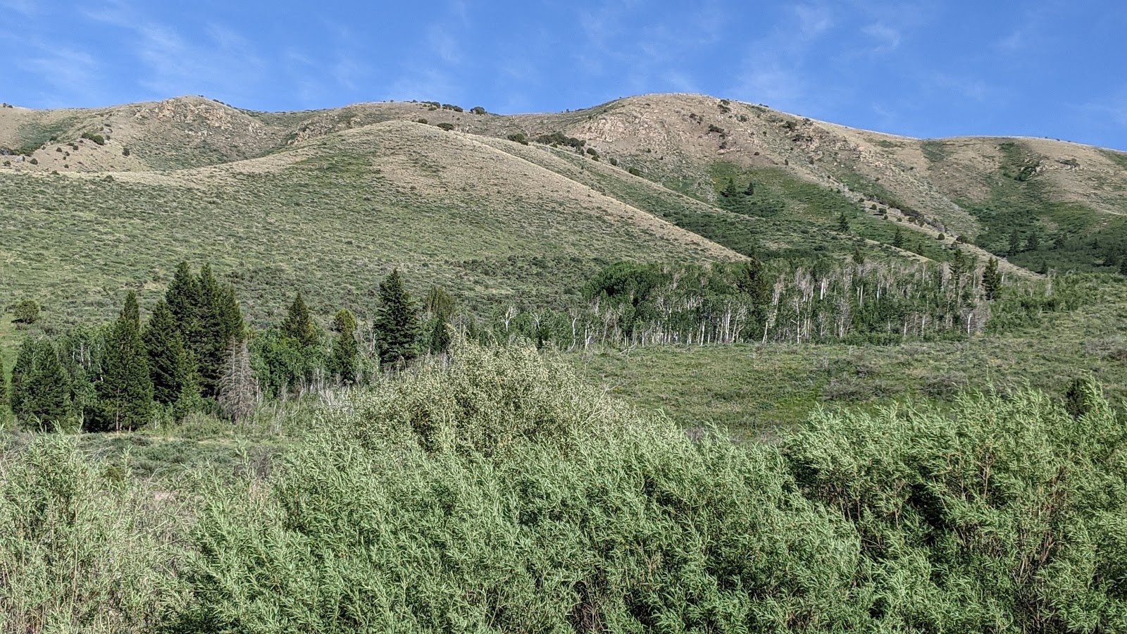 Mink Creek Group Site Campground