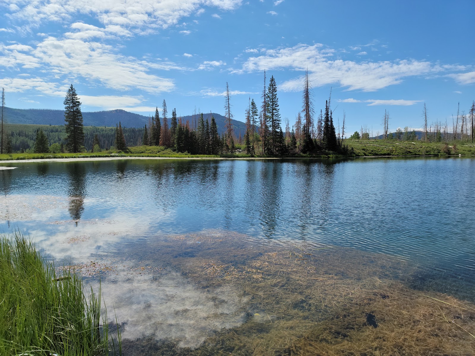 Potters Pond Campground