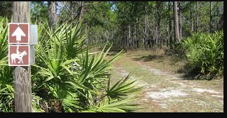 Charles H. Bronson Wildlife Management Area