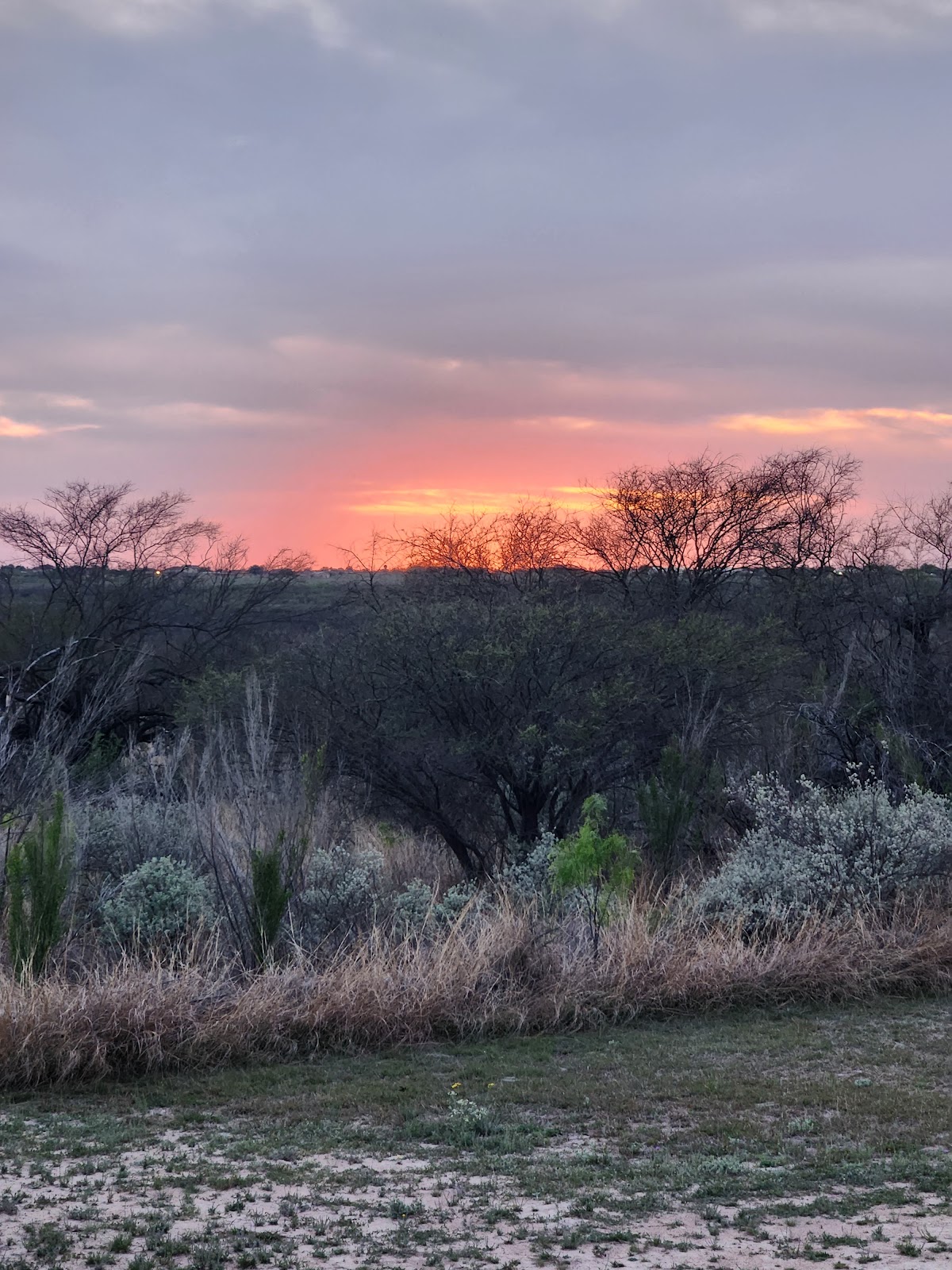San Pedro Campground - Amistad National Rec Area