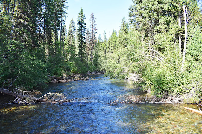 Kintla Lake Campground - Glacier National Park