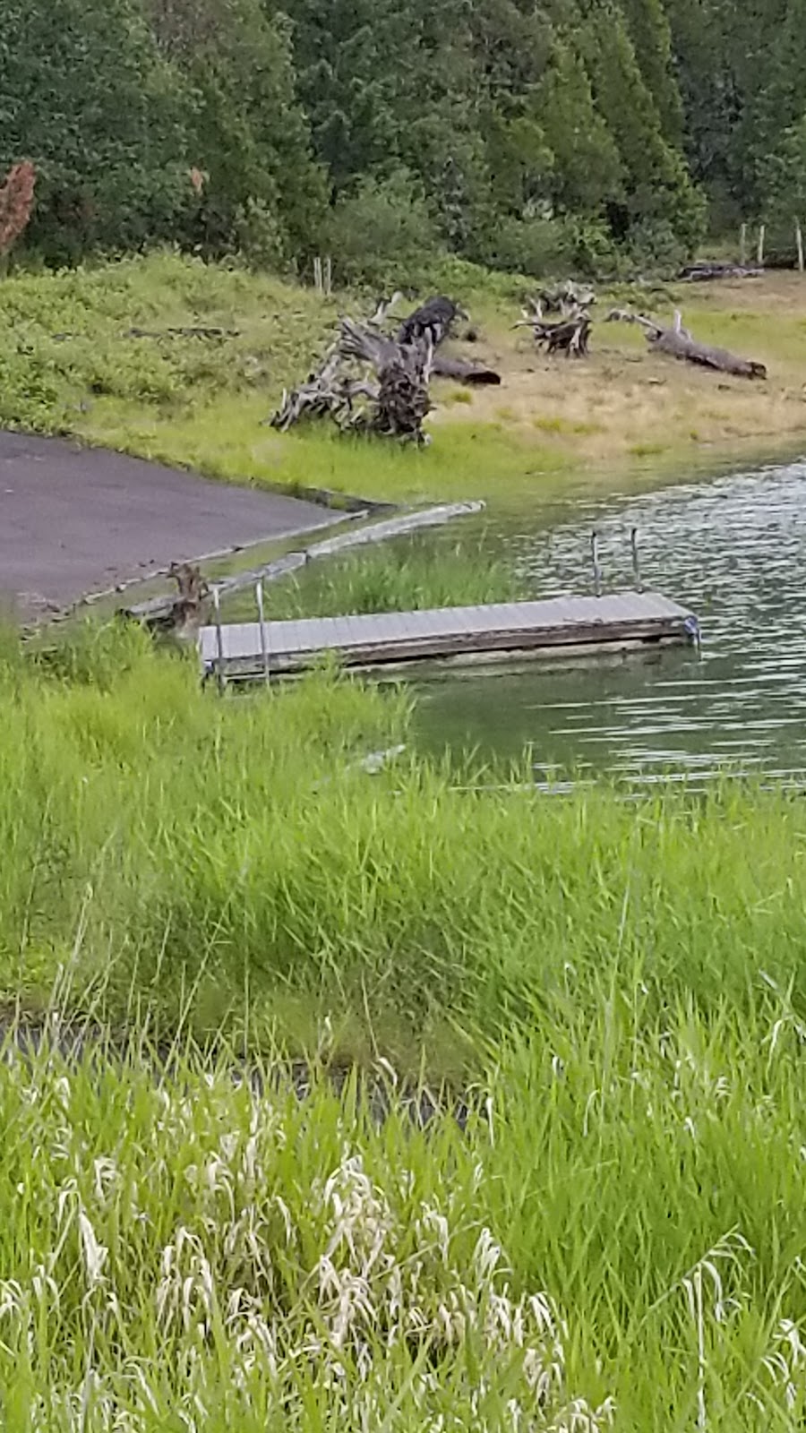 Packard Creek Campground