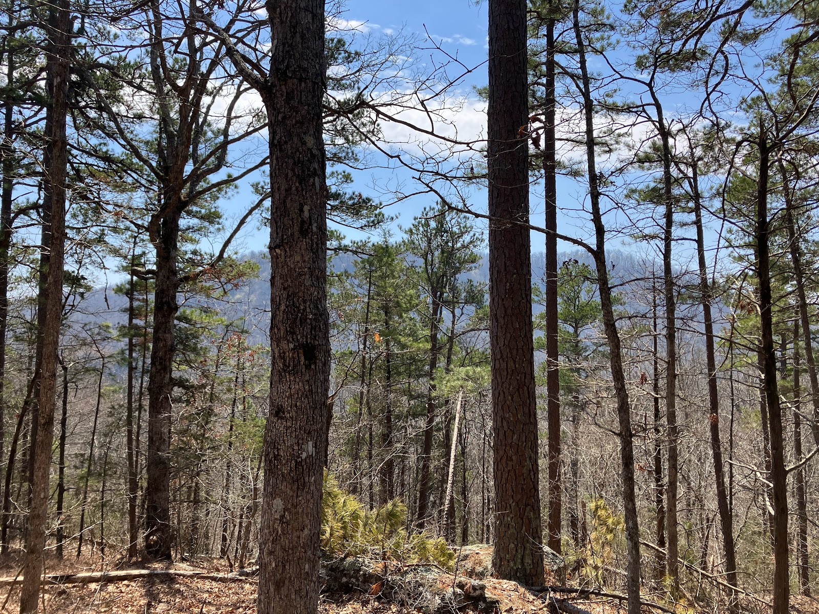 Richland Creek Recreation Area