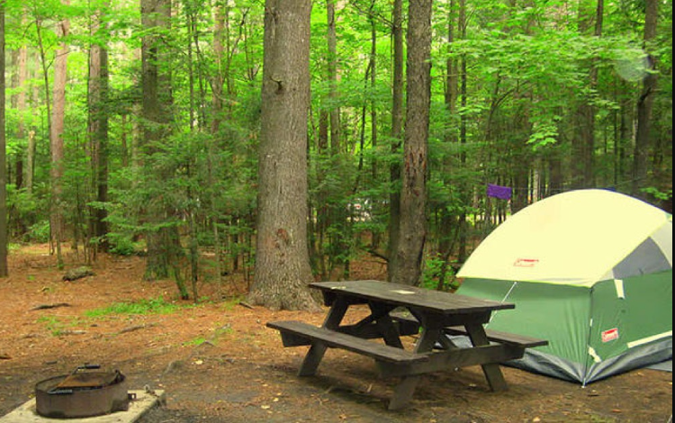 Clearwater Cove RV Resort