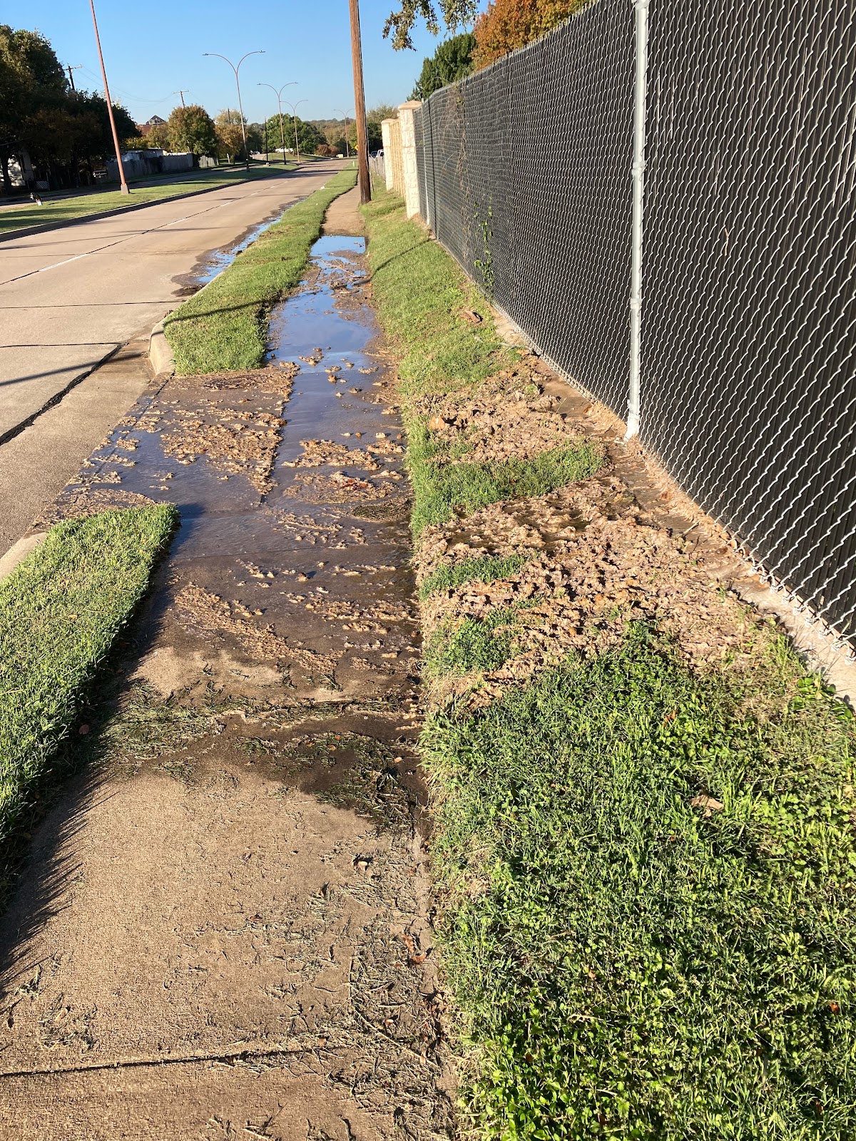 Arlington Forest Acres