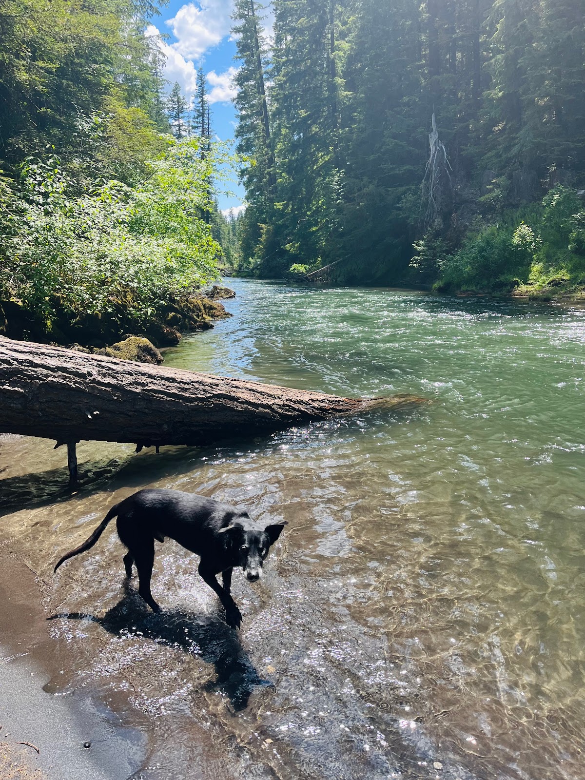 Farewell Bend Campground