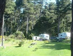 Hidden Pines RV Park