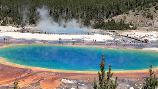 Buffalo Bluff RV Park