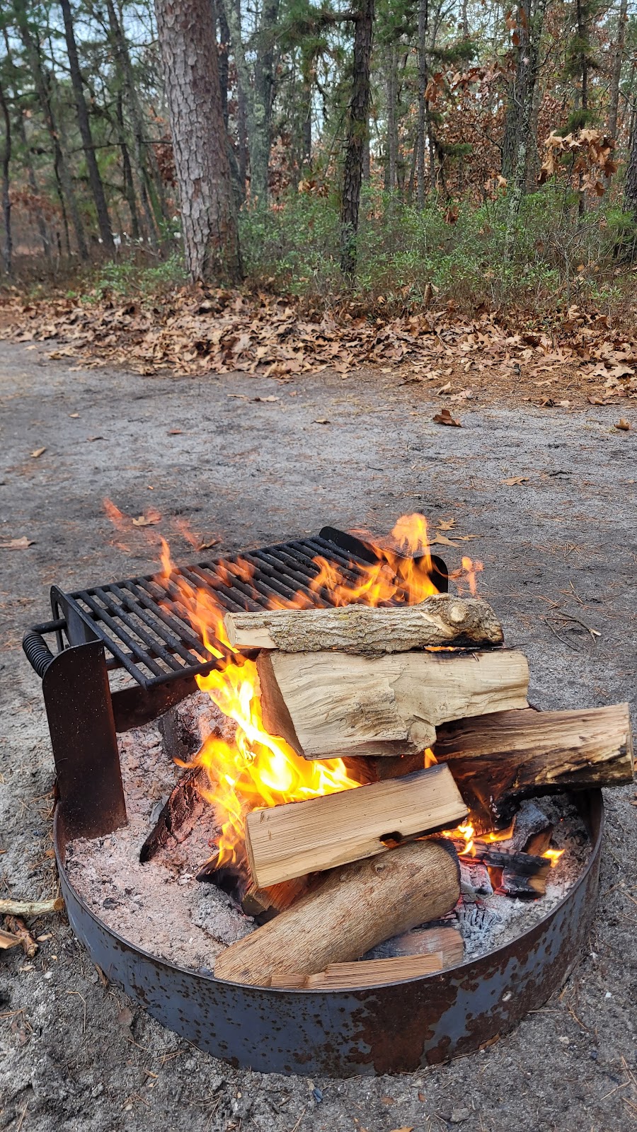 Brendan T Byrne State Forest Campground