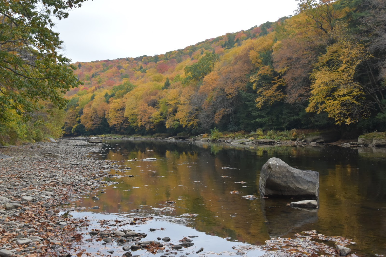 Clarion River Campsites