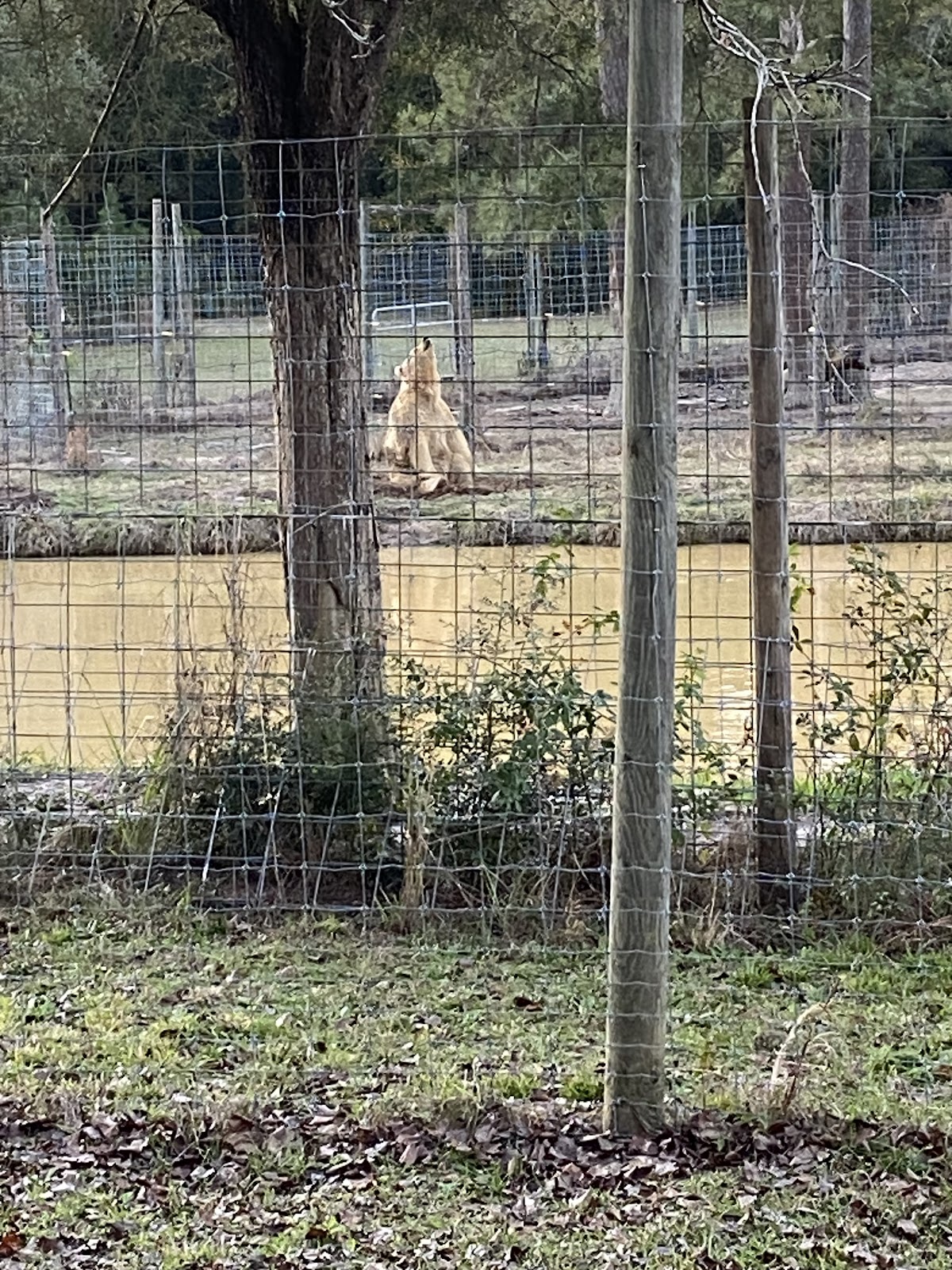 Grizzly Ranch RV Campgroundrmation