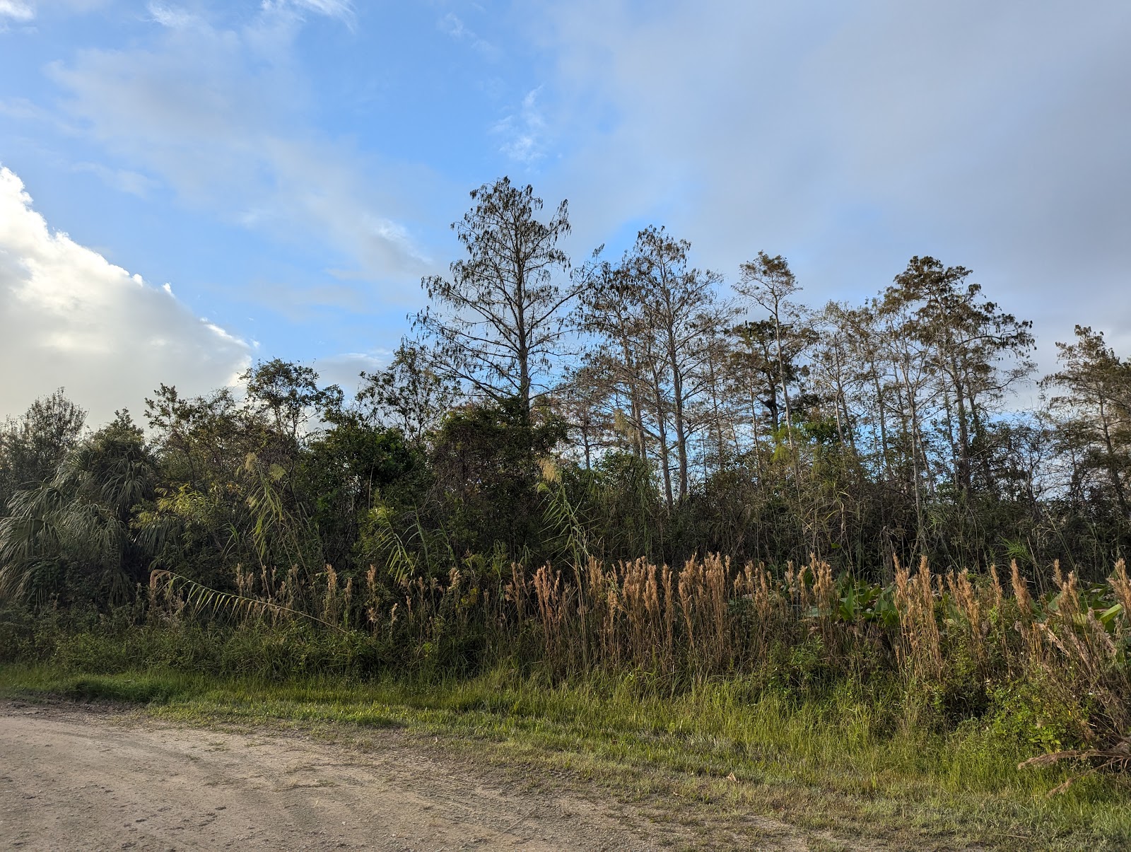 Mitchell Landing Campground
