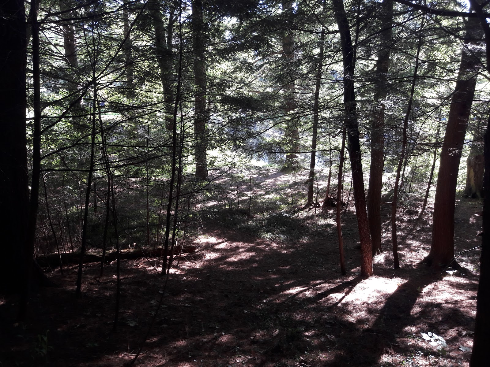 Otter River State Forest