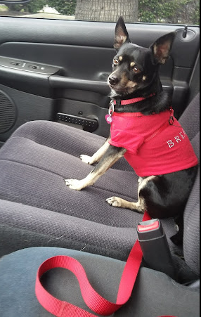 Vacationer RV Resort