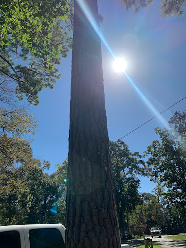 Country Place RV Park