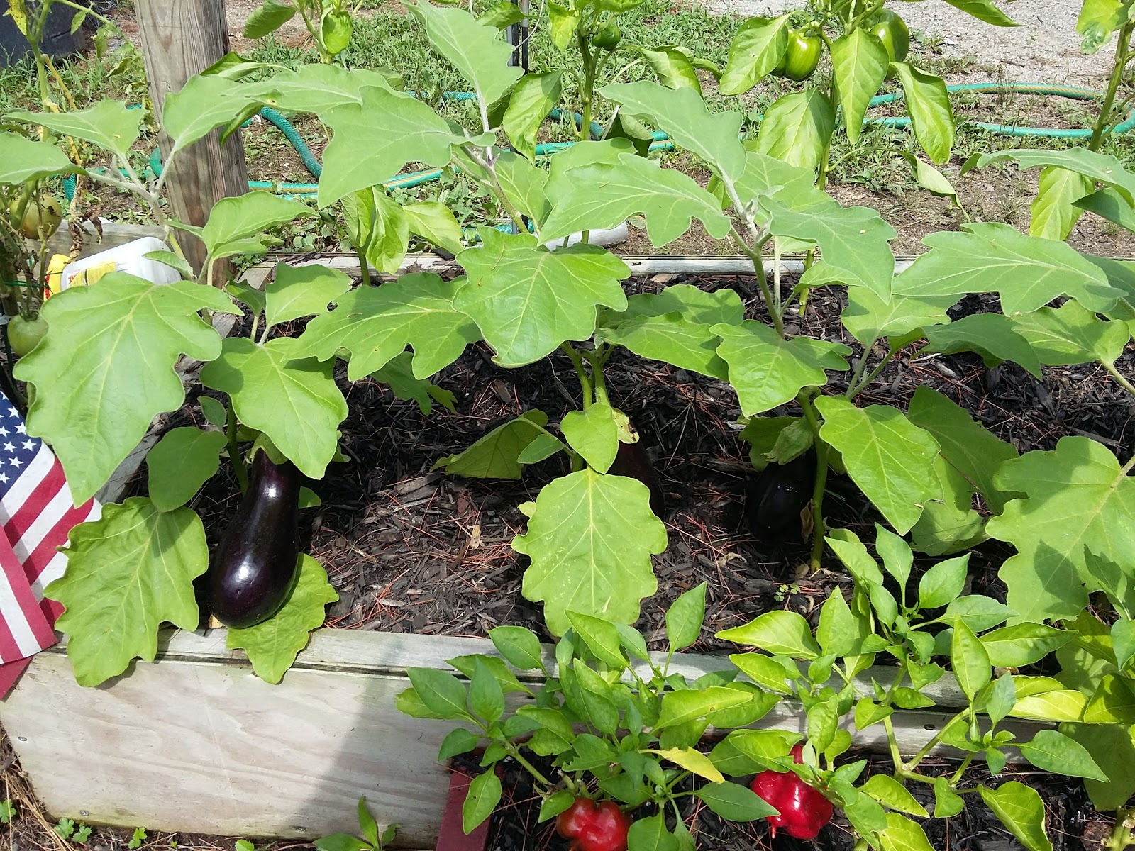 Salmon Falls River Camping Resort