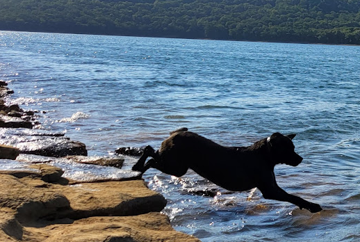 Indian Creek Campground