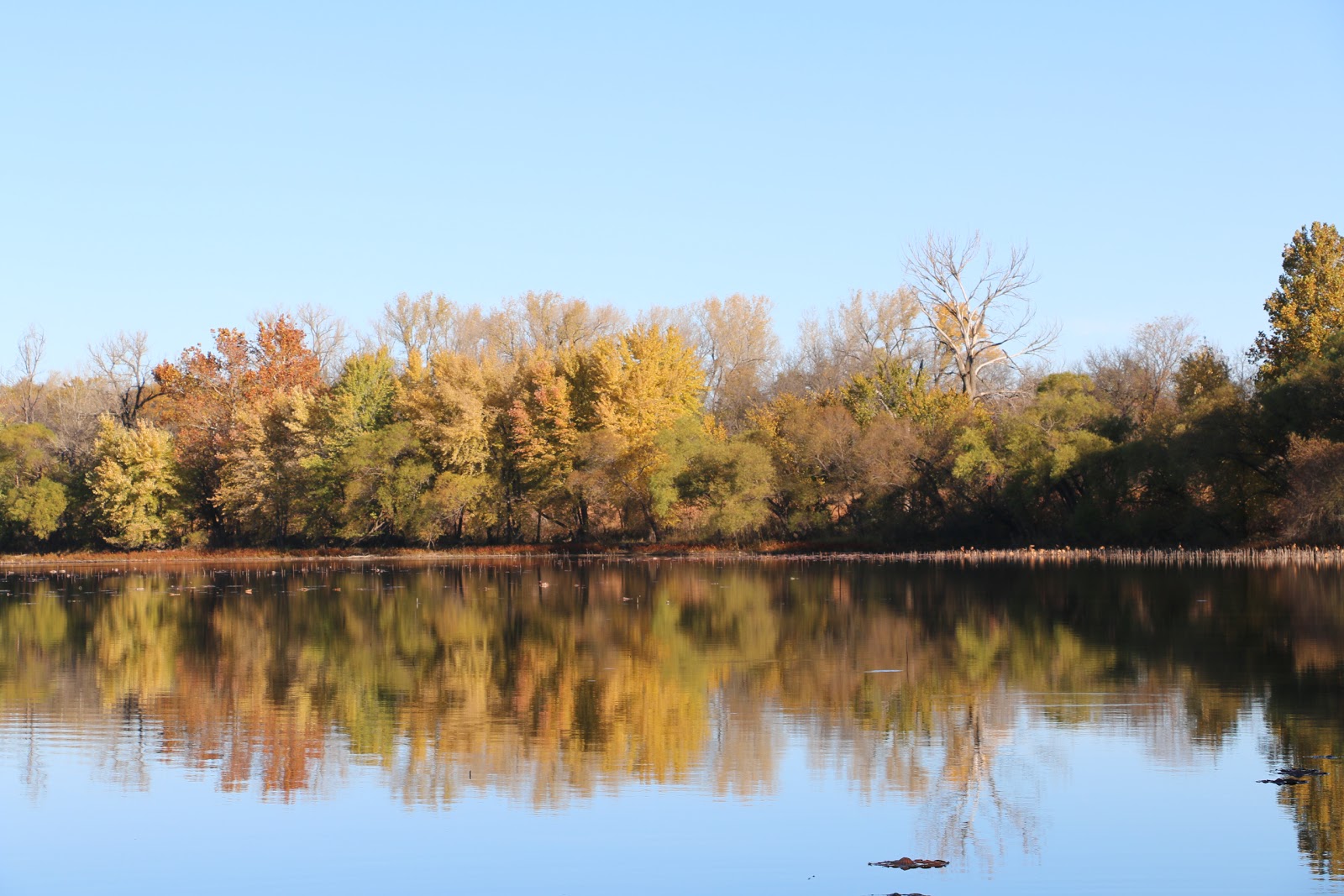 Kingman State Fishing Lake