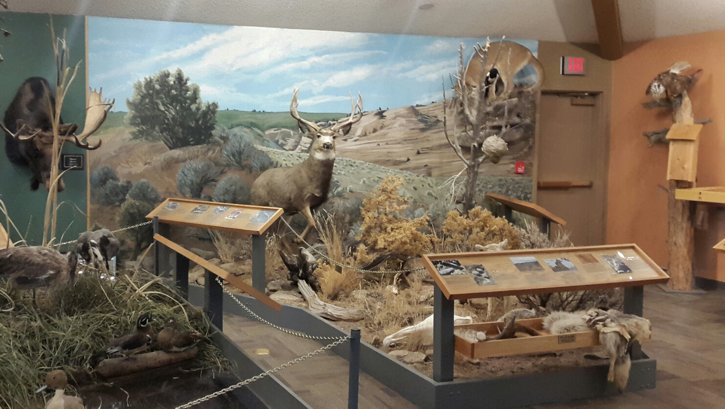 Mexican Creek Wildlife Mgt Area