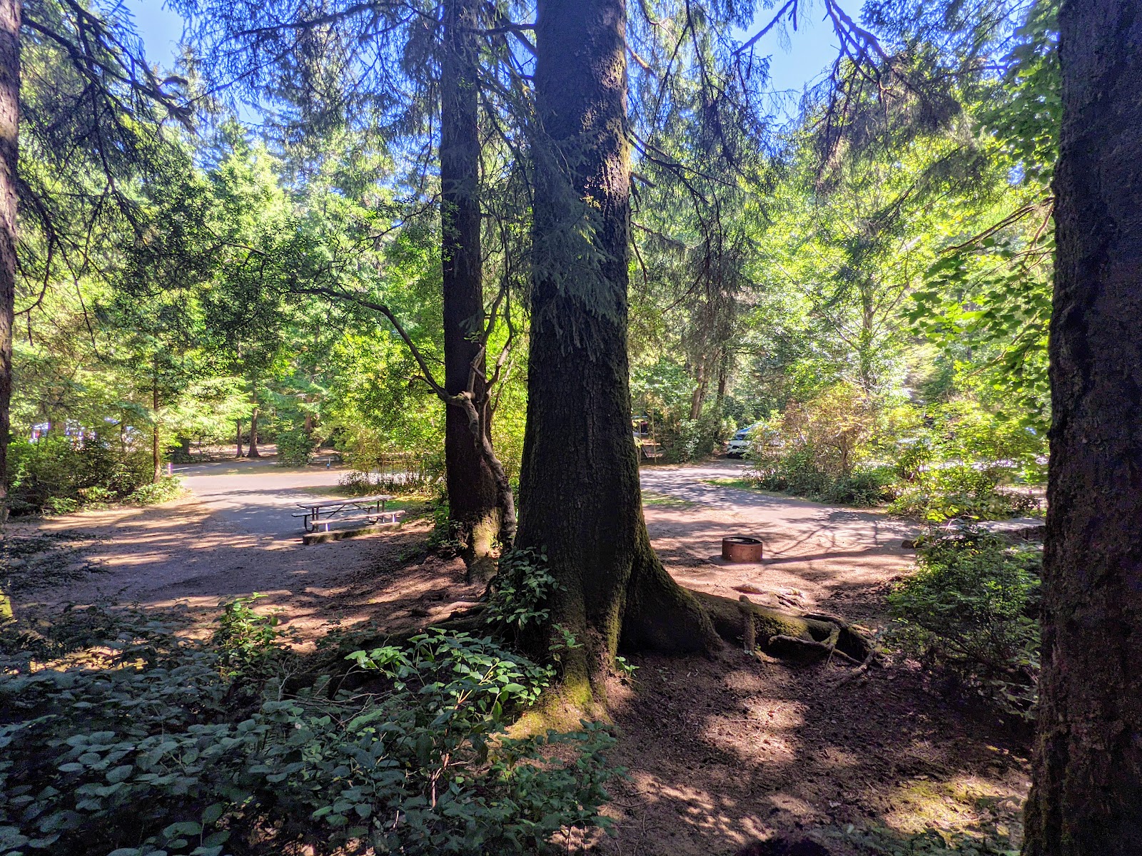 Jesse M. Honeyman Memorial State Park