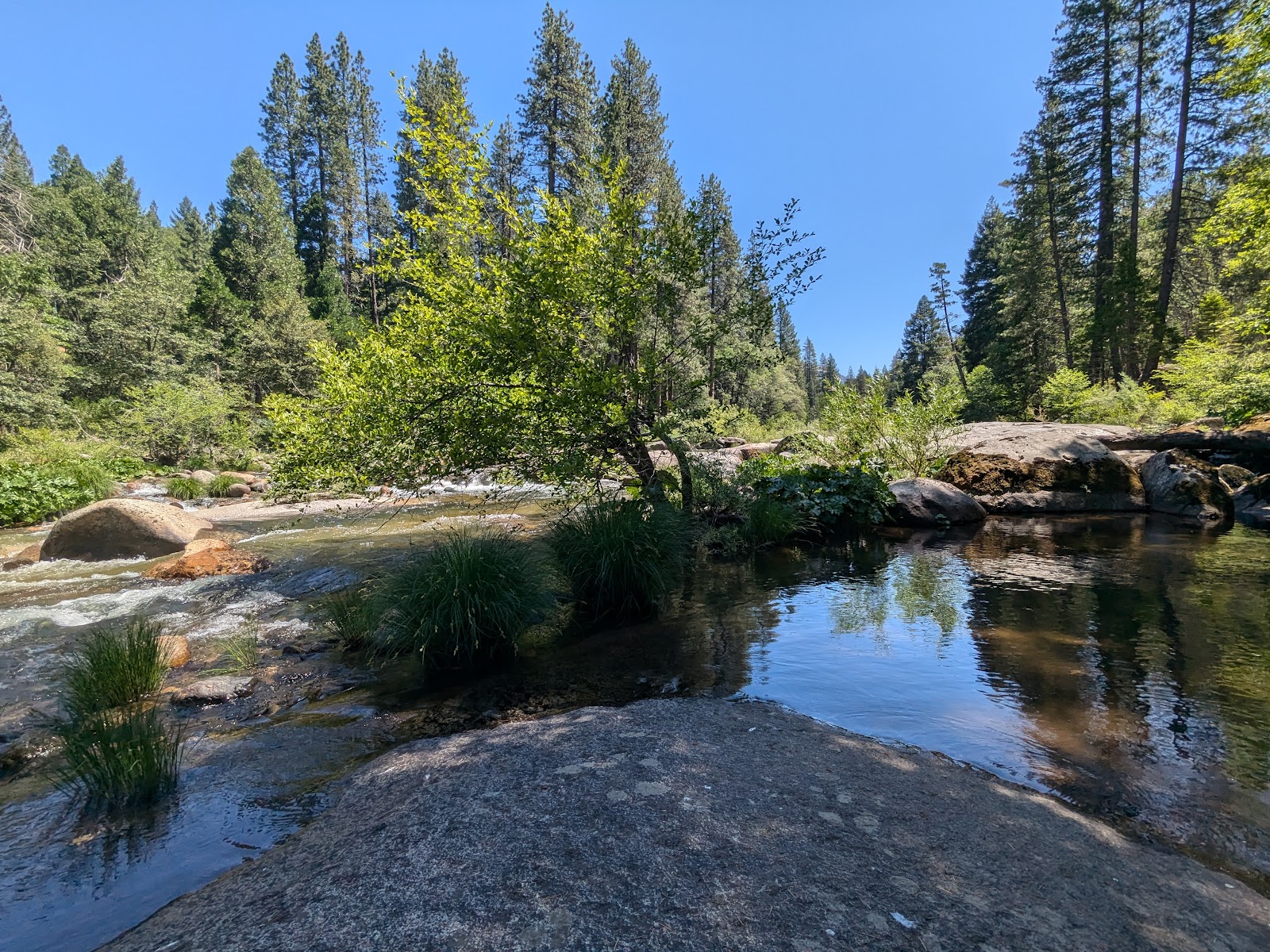 Sand Flat Campground