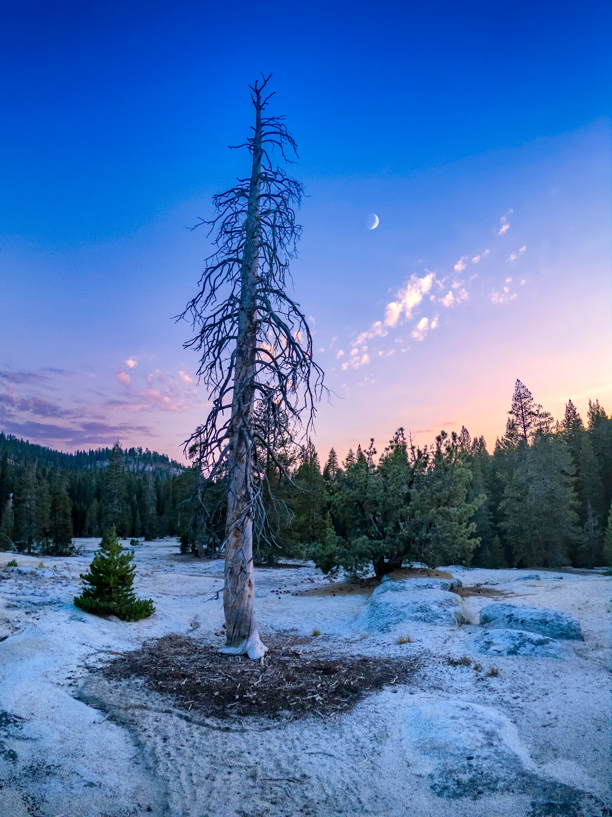 Big Meadow Campground